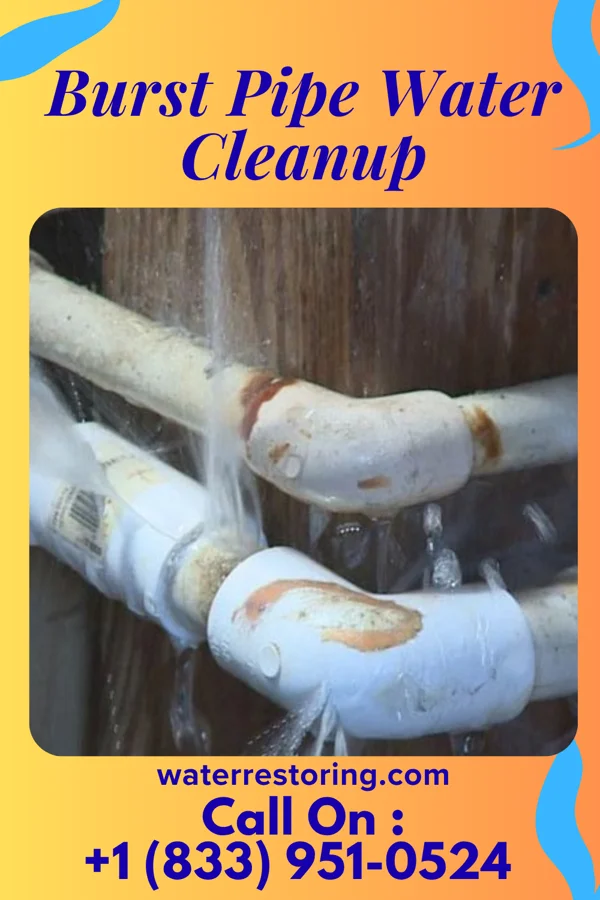 Burst Pipe Water Cleanup in Kutztown, PA
