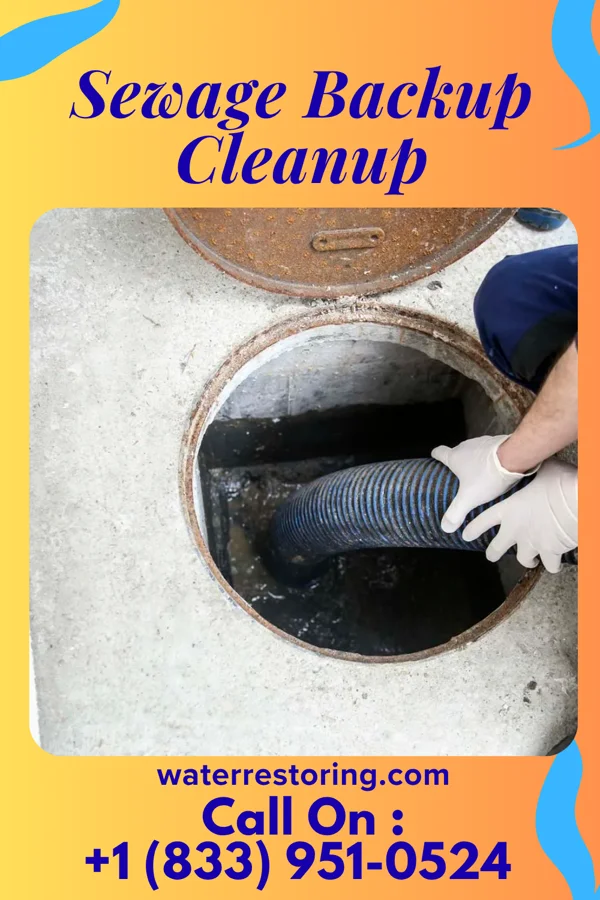 Sewage Backup Cleanup in Kutztown, PA